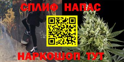 СК Славянск-на-Кубани