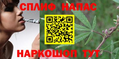 СК Славянск-на-Кубани