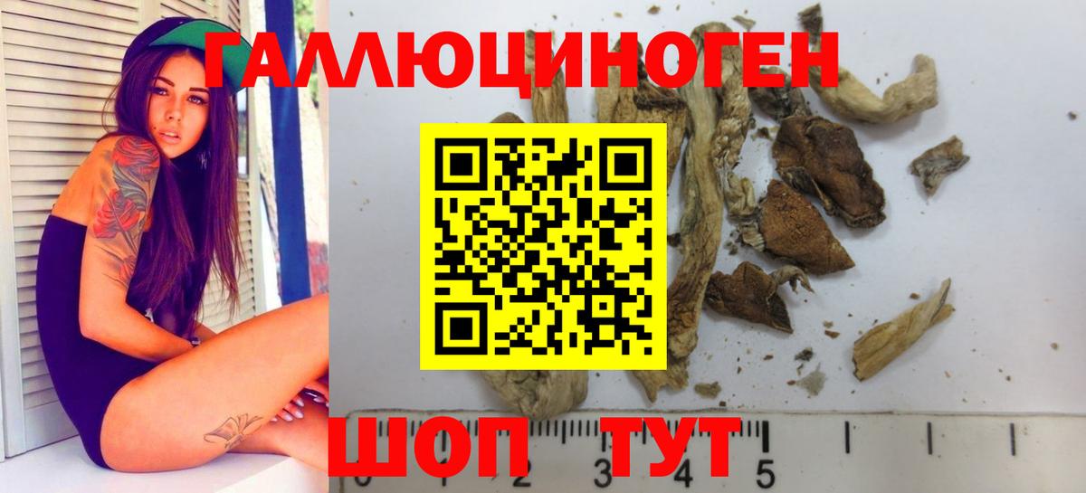 Псилоцибиновые грибы Cubensis  где купить наркоту  Псилоцибиновые грибы Magic Shrooms  Нефтекамск  Вход с VPN 