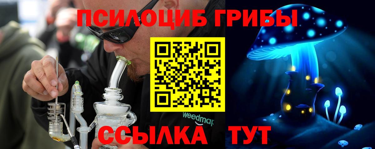 Псилоцибиновые грибы Psilocybine cubensis Нефтекамск