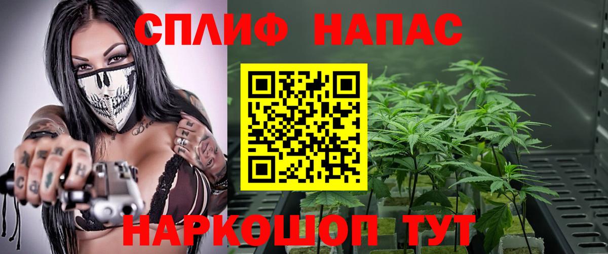 Нефтекамск  Бошки Шишки OG Kush  Вход с VPN  Бошки Шишки индика  Бошки марихуана THC 21%  Каннабис SATIVA & INDICA 